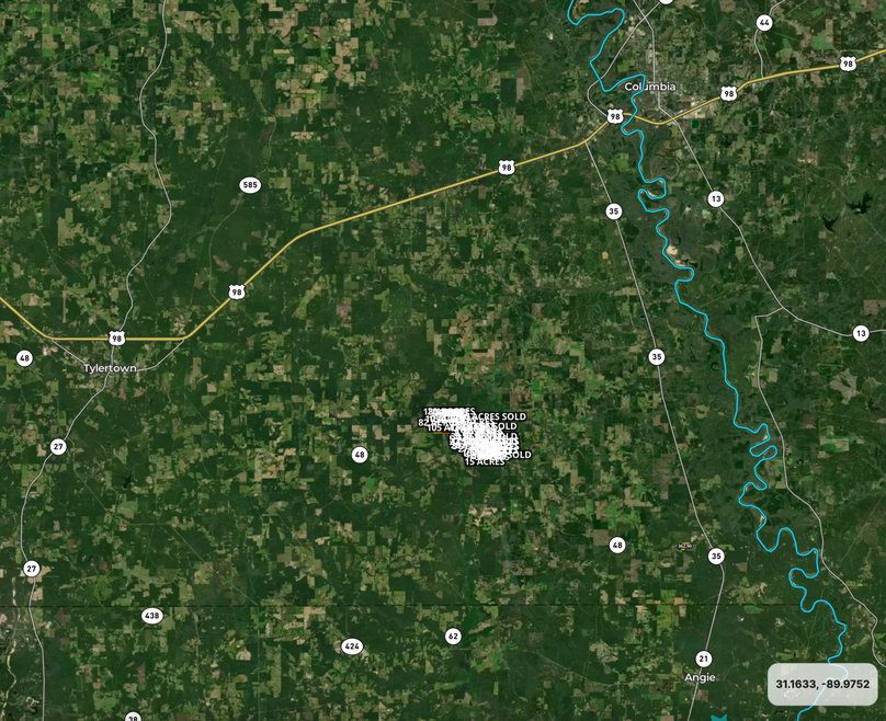 Screen Shot 2023-08-03 at 2.37.29 PM