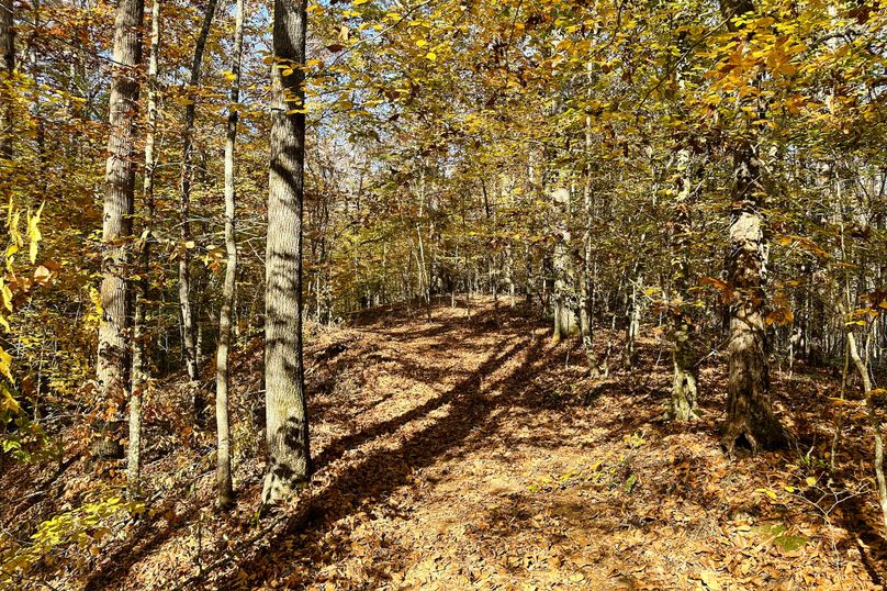 37 Trail 05