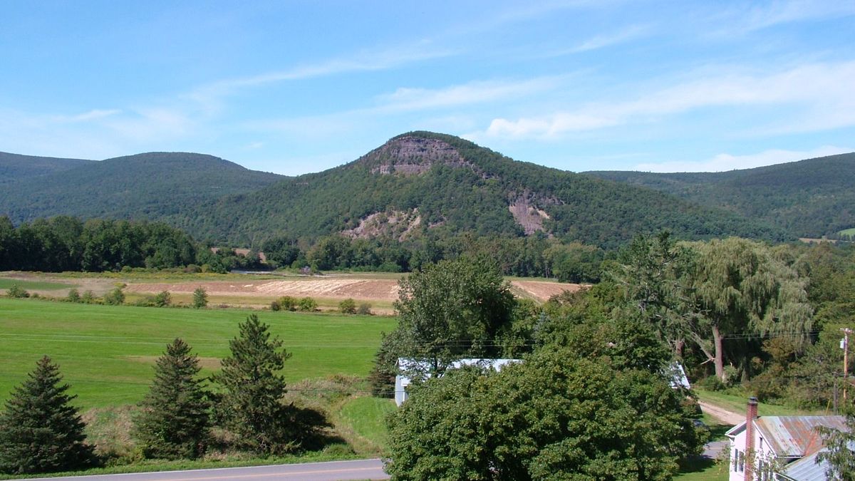 Land for Sale in Middleburgh NY Whitetail Properties