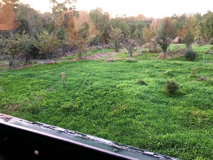 Blind view of Foodplot2