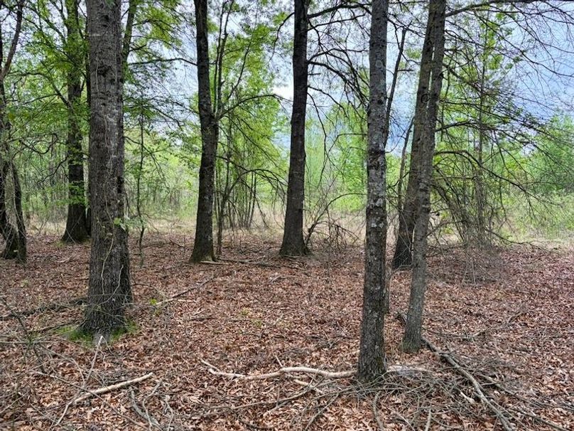 FB83C0AA-C5ED-4647-828E-F639FE158E4D_1_105_c