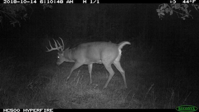 2018-10-14 06-10-48 M 1_1