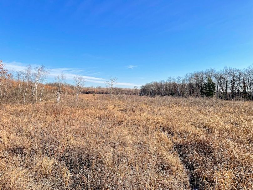 ClarK 160 WILLIAMS -23