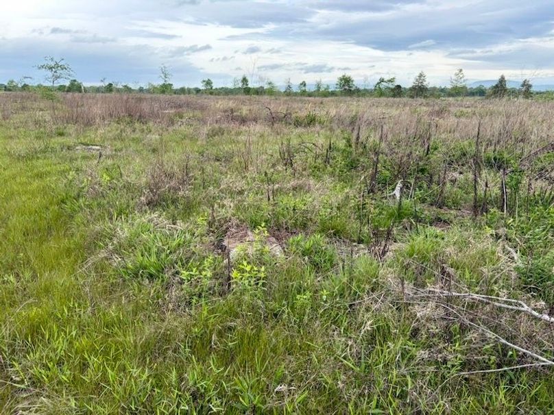 A26F1FB1-8EF3-4D6A-B464-165065966917_1_105_c