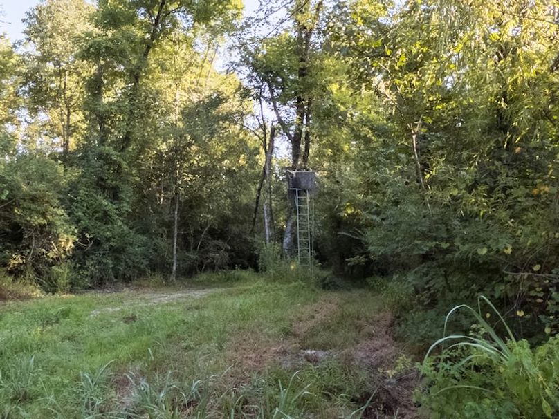 Ashley Co-40-Givens-43