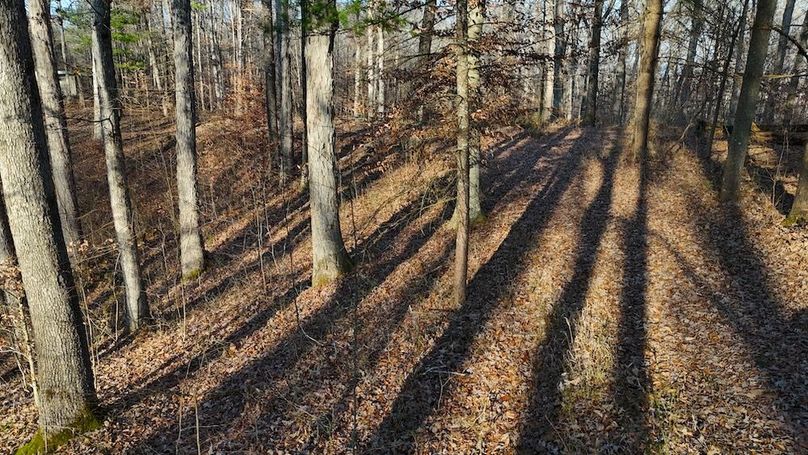 DJI_20251209152958_0695_D