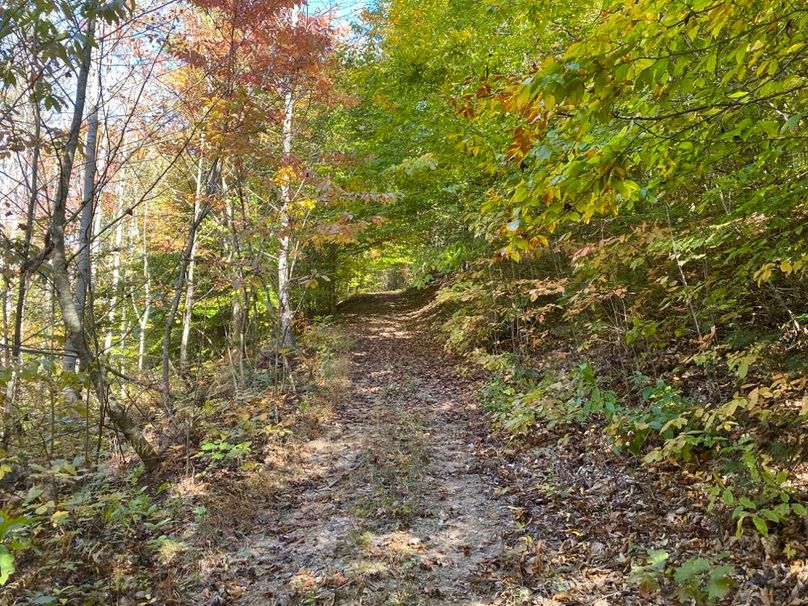 014 forested trail leading up the northern point to the east