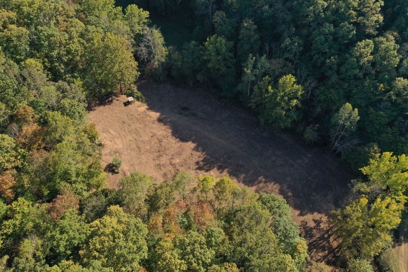 013 low elevation drone shot looking down at the open clearing area along the west boundary