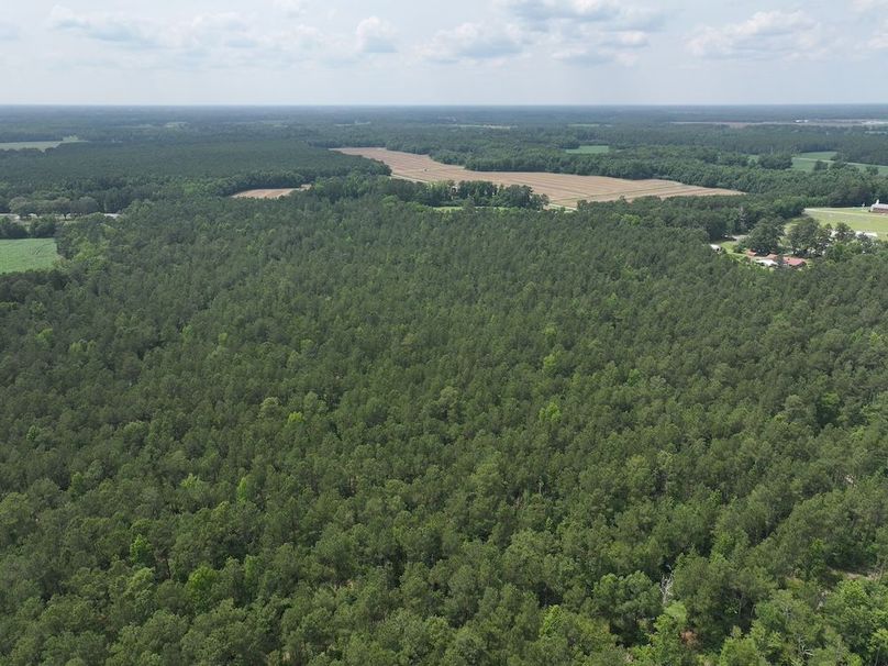 DJI_20250604142038_0092_D