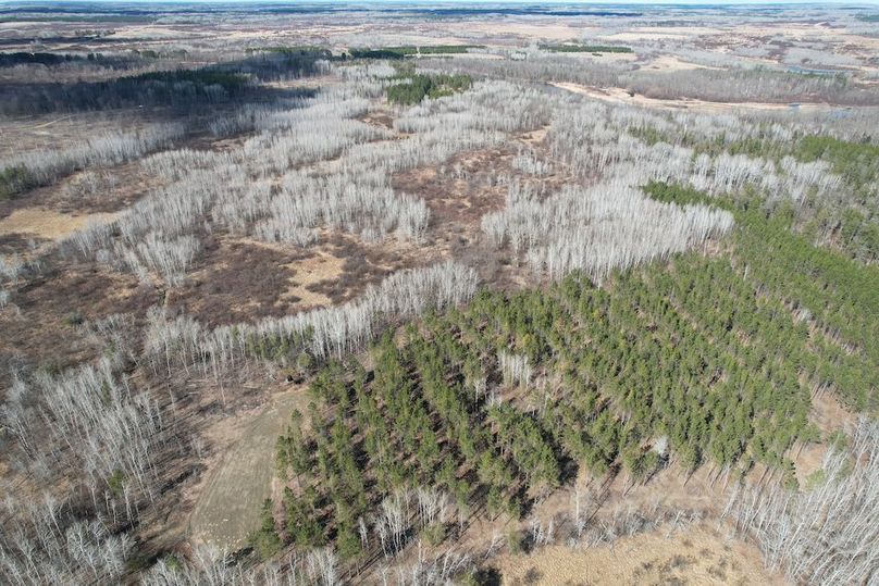 dji_fly_20260415_161408_160_1776288009345_photo