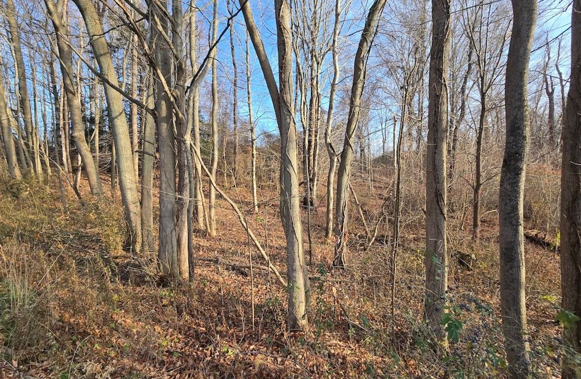 Wayne_25.53_OConnor4