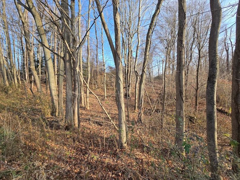 Wayne_25.53_OConnor4