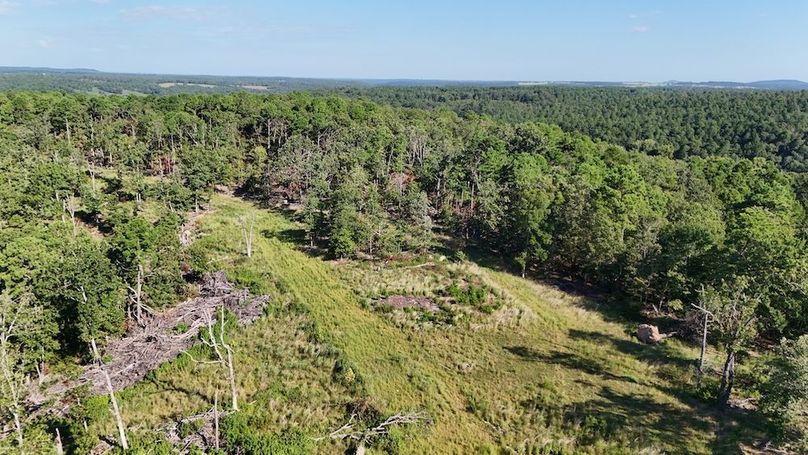 DJI_20250823104218_0131_D