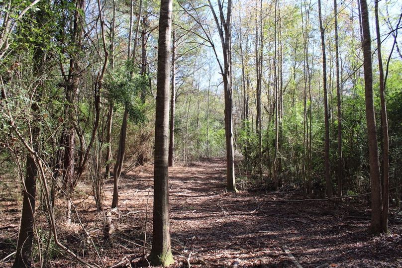 25E06034-014A-49C6-BEB1-1CF0615EE3F9_1_105_c