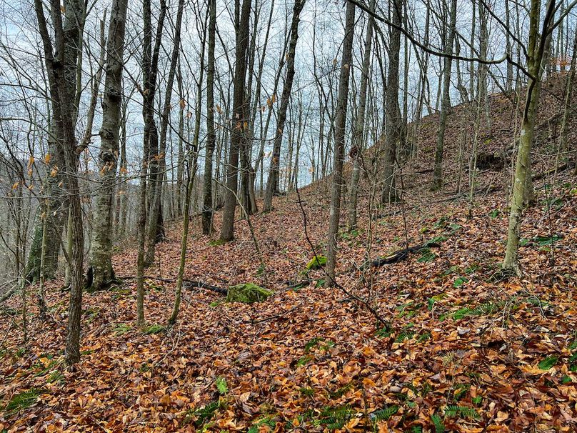 Calhoun, WV 225.69 AC Duffield-44