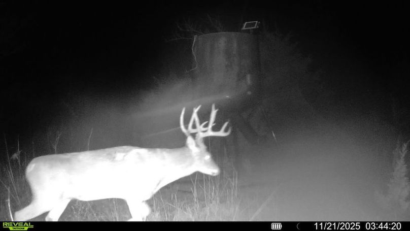 016578004503154-100-2-11212025034420-SYFW19968