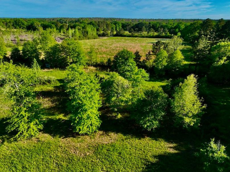 4C9E7598-A02D-4331-9A41-749F9656C299_1_201_a