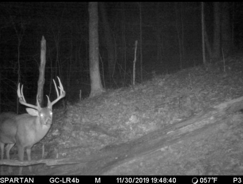 trail cam7