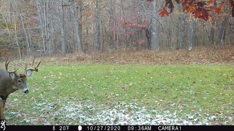 Sauk 174 Trailcam - 60