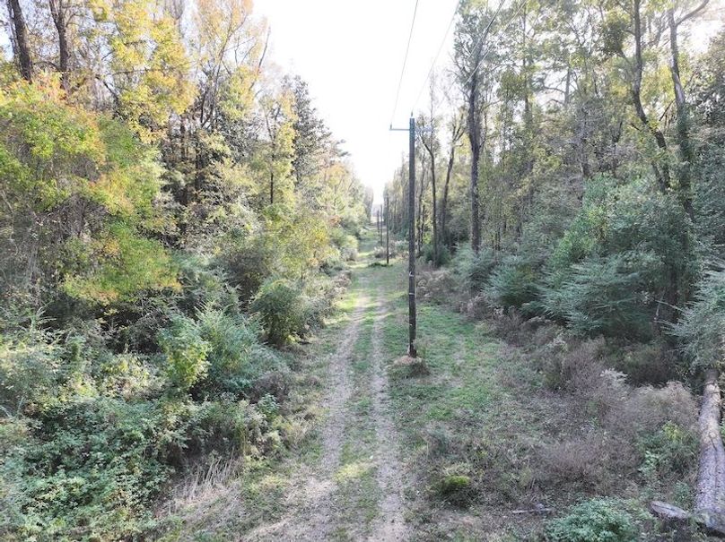 dji_fly_20251118_152042_0751_1763560710988_photo