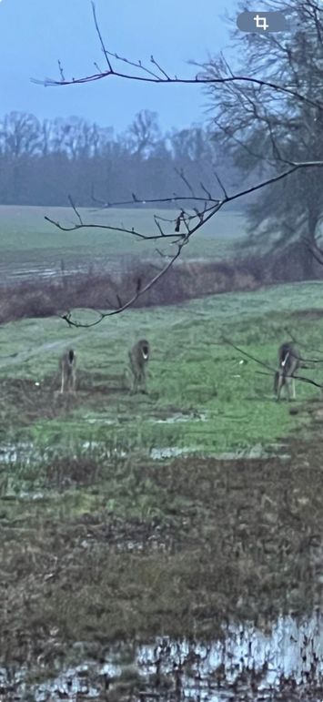 E8900974-BAF8-4CA3-B3C4-0F73BFB0853C