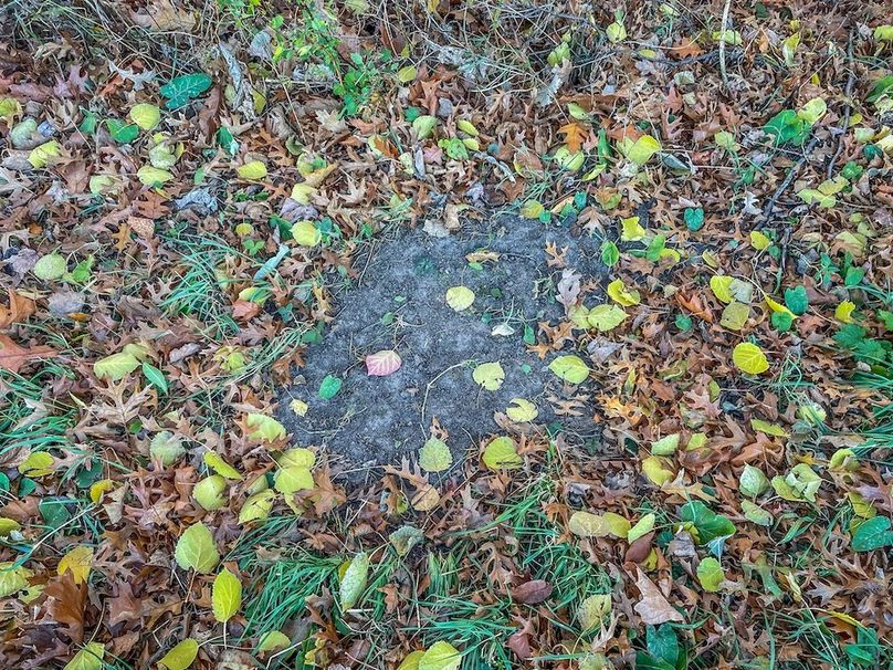 Portage 150.81 JMJK Prop-19