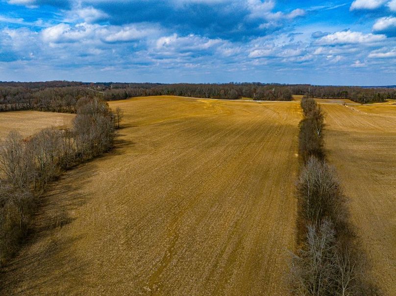 Gibson County Tract 2-12