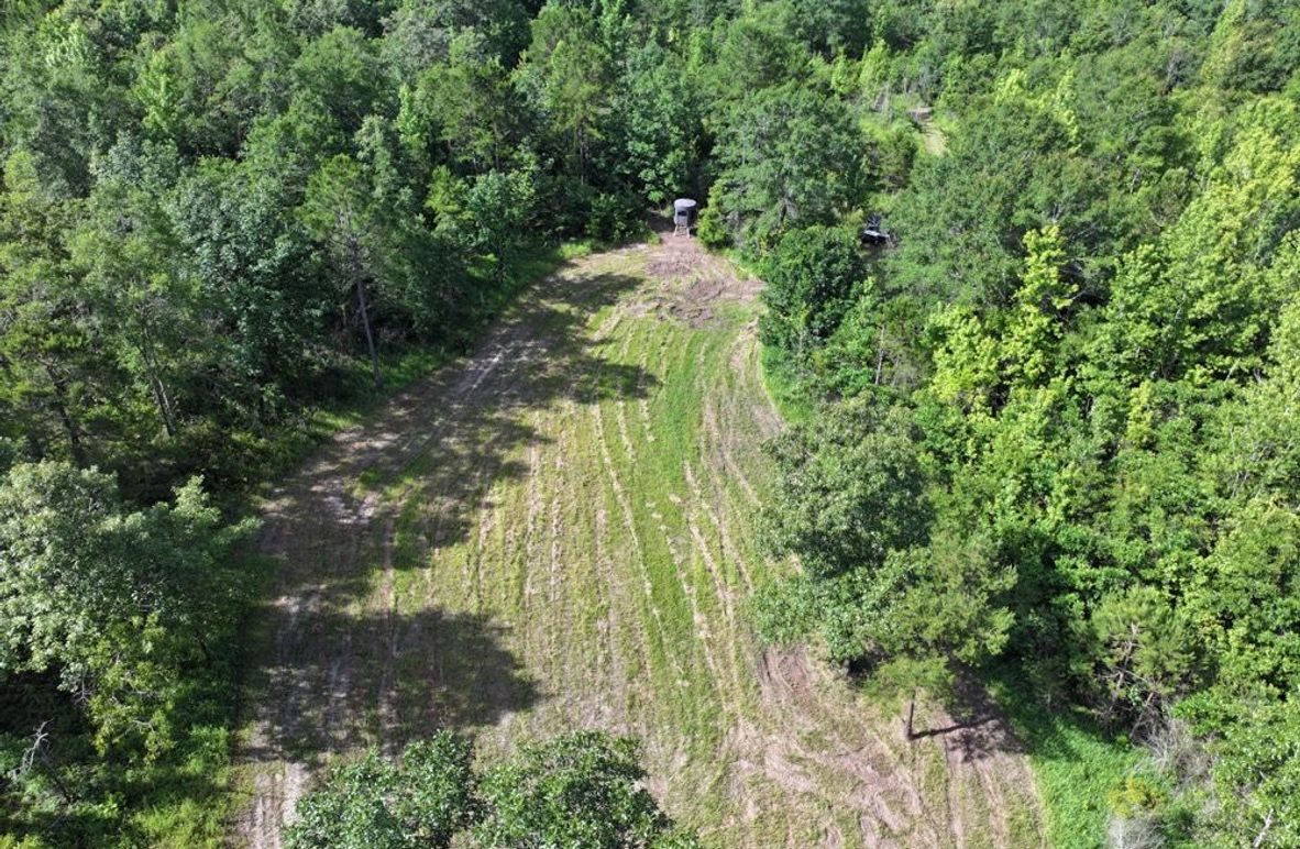 01dji_fly_20250612_093842_0099_1750261386825_photo