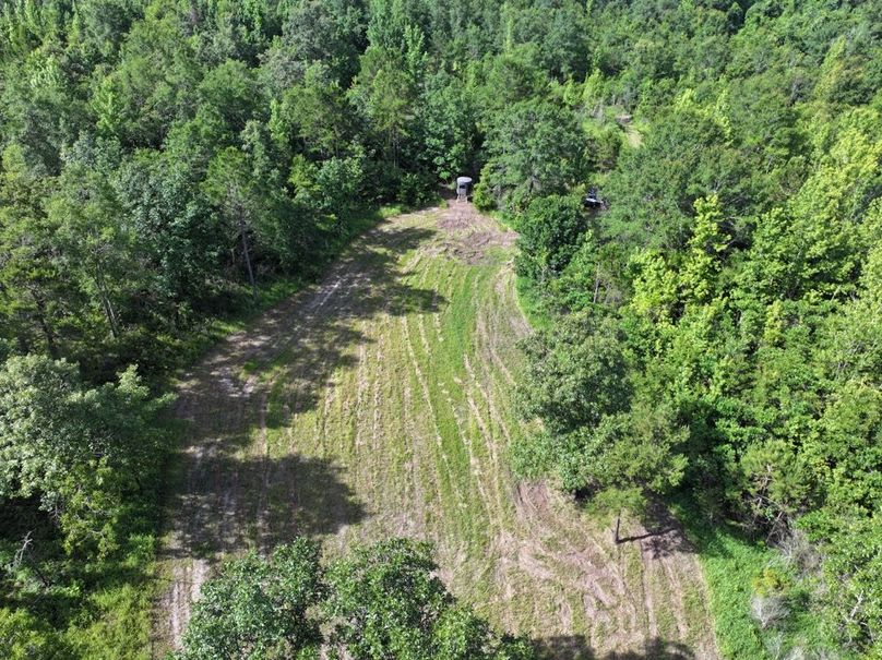 01dji_fly_20250612_093842_0099_1750261386825_photo