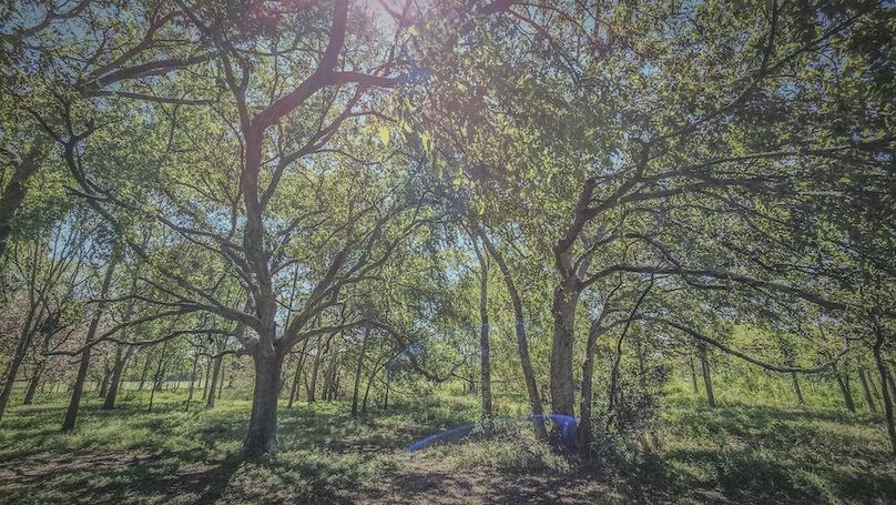 Copy of 20240909_115935