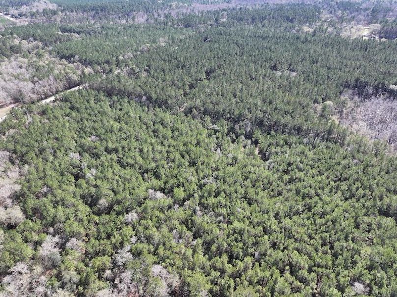 dji_fly_20260112_110328_0814_1768323790897_photo