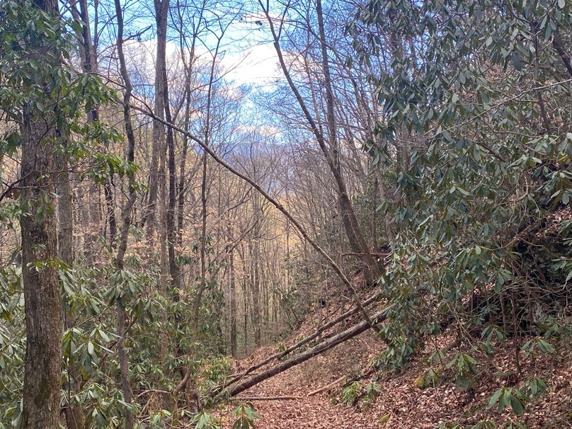 Cherokee 97.28+_- Stiles-61