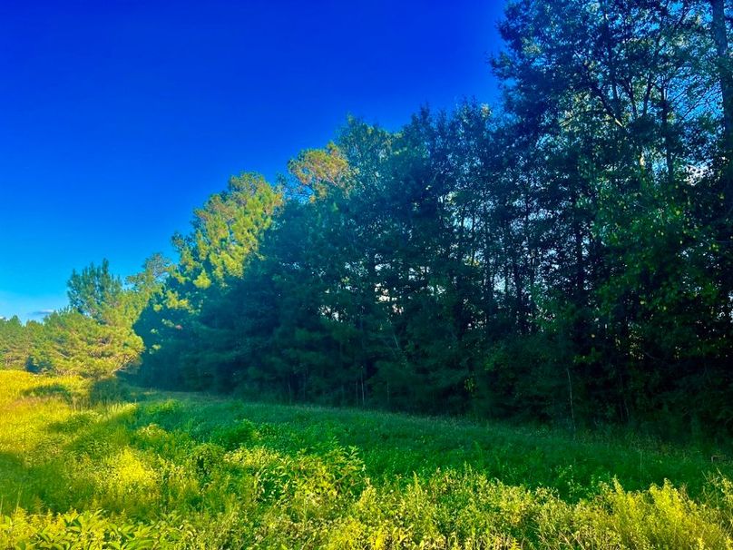 667AFDBE-E44B-418B-9AFC-754C1D26DCEC_1_201_a