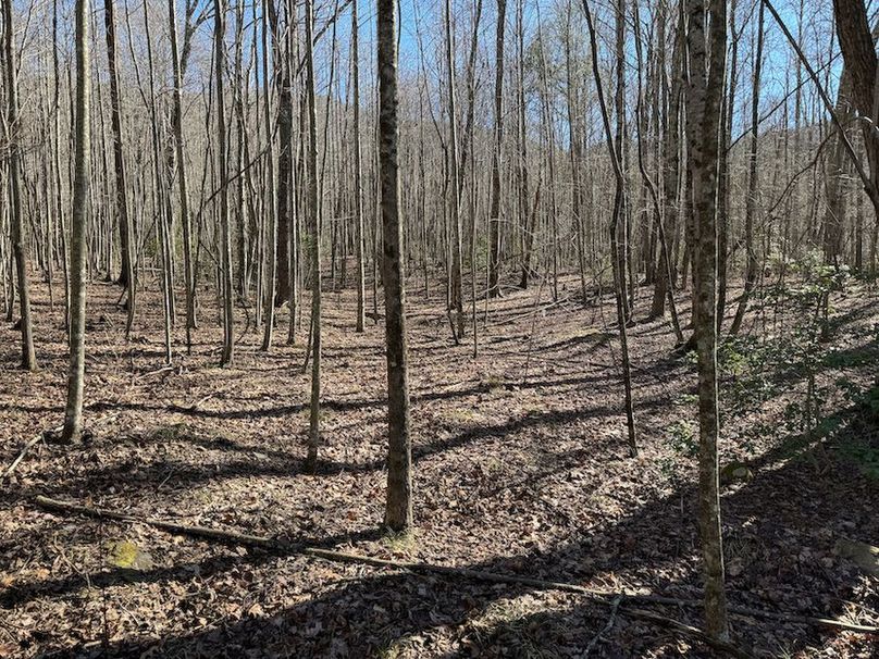 Cherokee 118.85 Harris Top-17