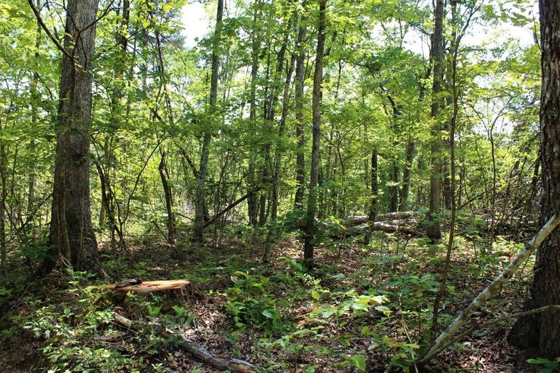 019 the small section in the southwest corner as enter the property