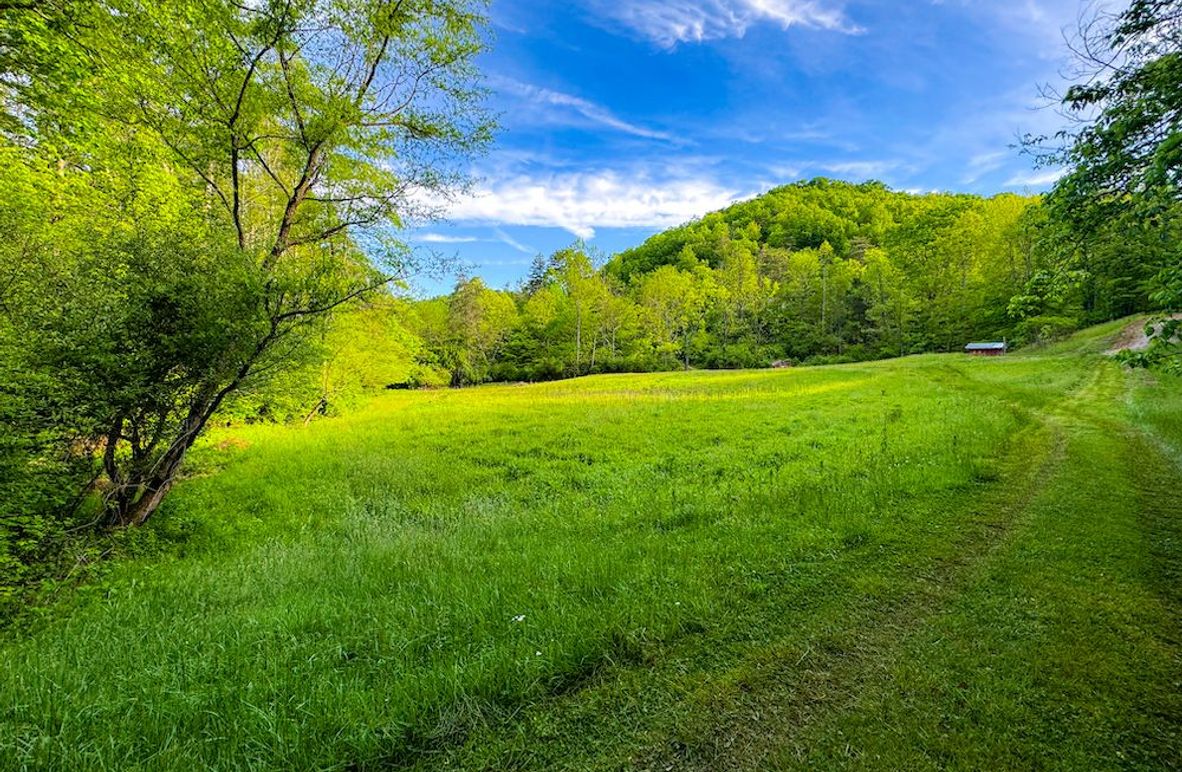 Wirt, WV 145.69 AC 273 Wildflower-01