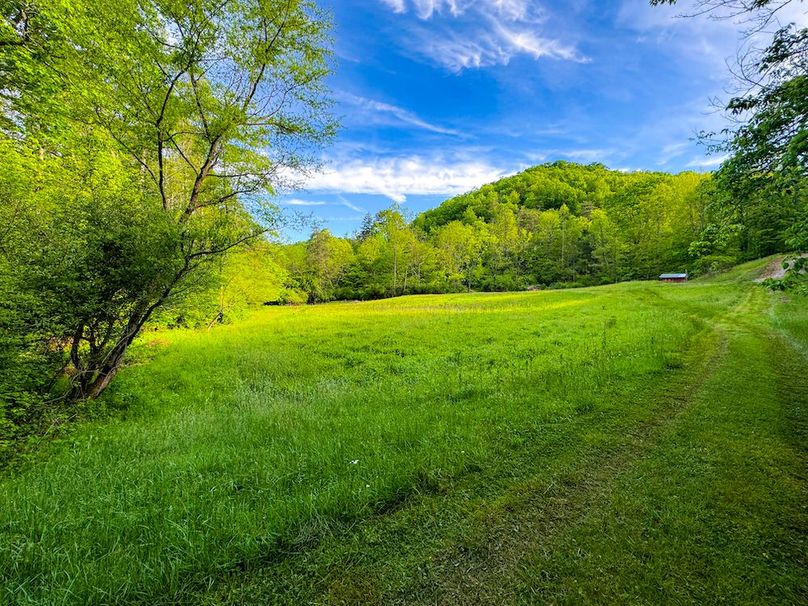 Wirt, WV 145.69 AC 273 Wildflower-01