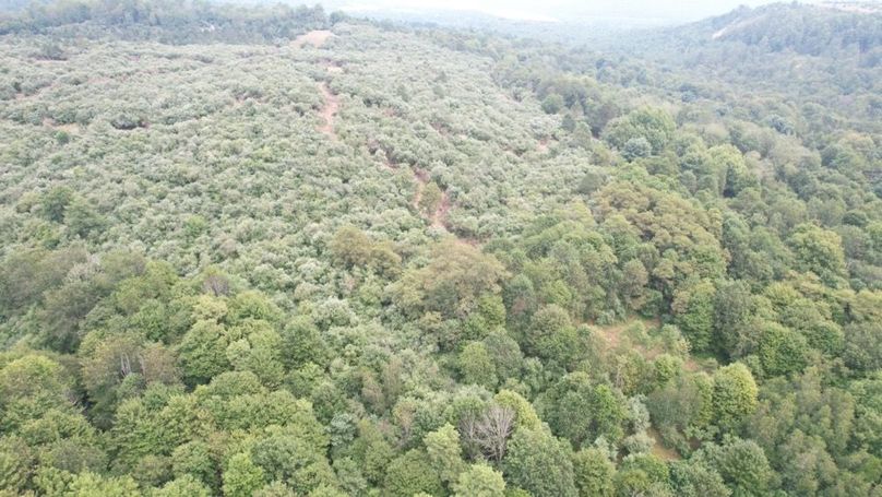 dji_fly_20250806_140730_584_1754530425777_photo