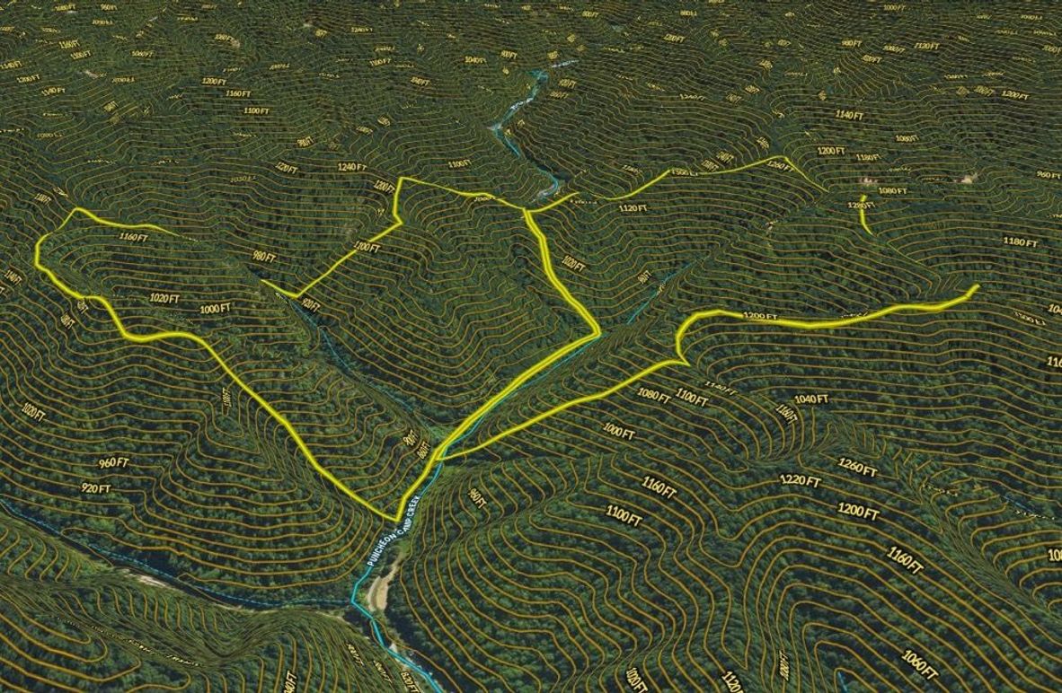 020 Breathitt 176 Land ID map zoomed in 3D