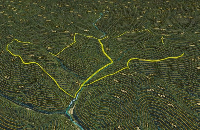 020 Breathitt 176 Land ID map zoomed in 3D