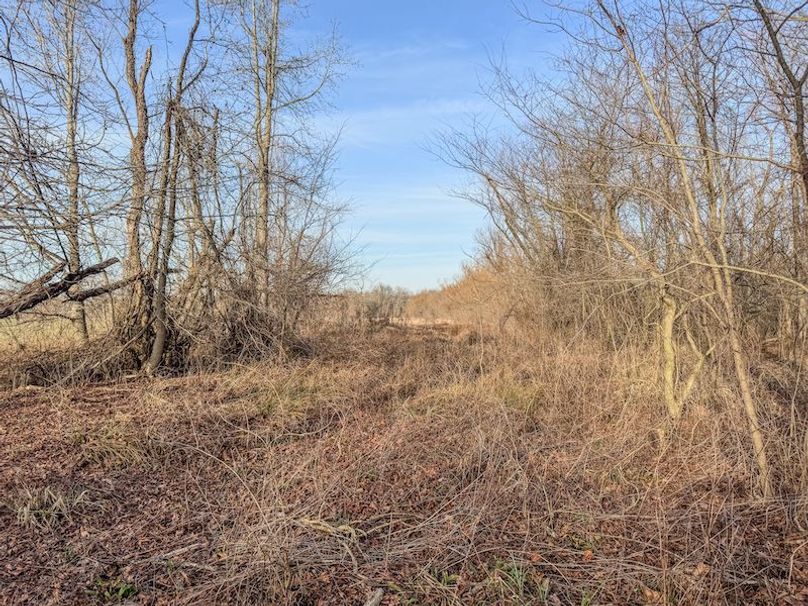 Phillips 8.5 Trahan -28