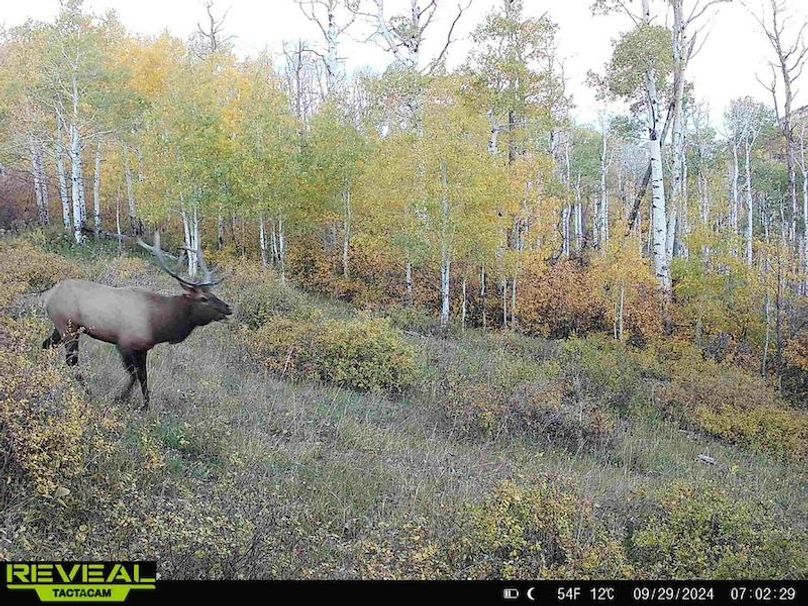 864049052055672-30-4-09292024070228-HD-W1001280 (1)