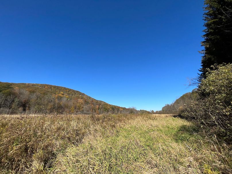 Schuyler_25.155_Ennis_Photos_7