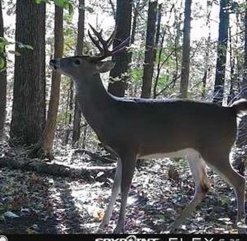 4D2C2025-41F1-4F69-ACCD-E71FDFE27A33_4_5005_c