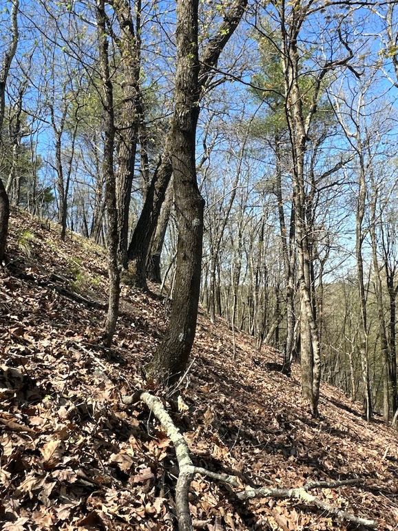 GC 67.97 Lime Kiln Land llc9a