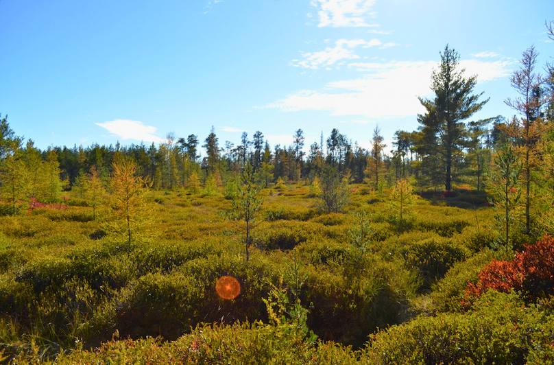 Screenshot 2025-11-14 at 11.18.48 AM