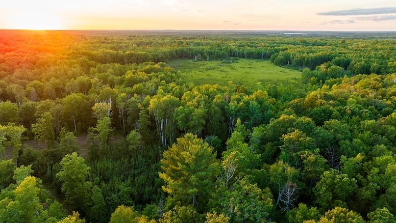 Cass MN 1095 Featured ProPhoto-50