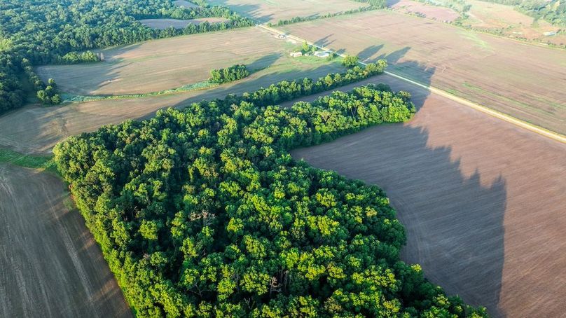 Copy of DJI_20250703172658_0028_D