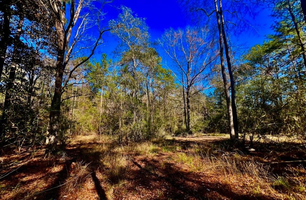 1D9DF193-0E15-4A83-ADDE-50FAAF189E6B_1_201_a