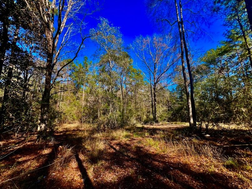 1D9DF193-0E15-4A83-ADDE-50FAAF189E6B_1_201_a